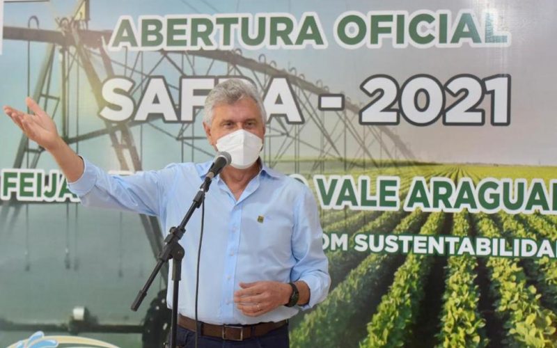 Caiado-abre-colheita-da-safra-de-feijao-irrigado-do-Vale-do-Araguaia