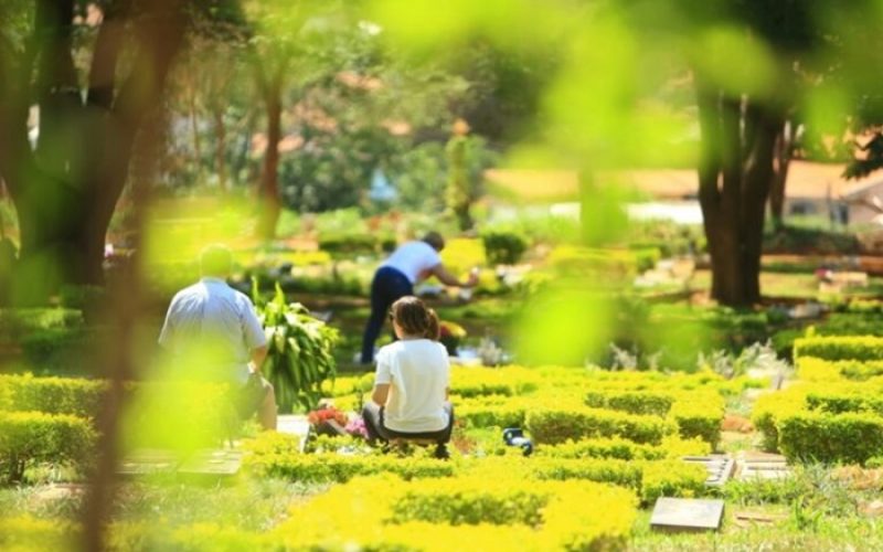 Cemiterio-jardim-das-palmeiras