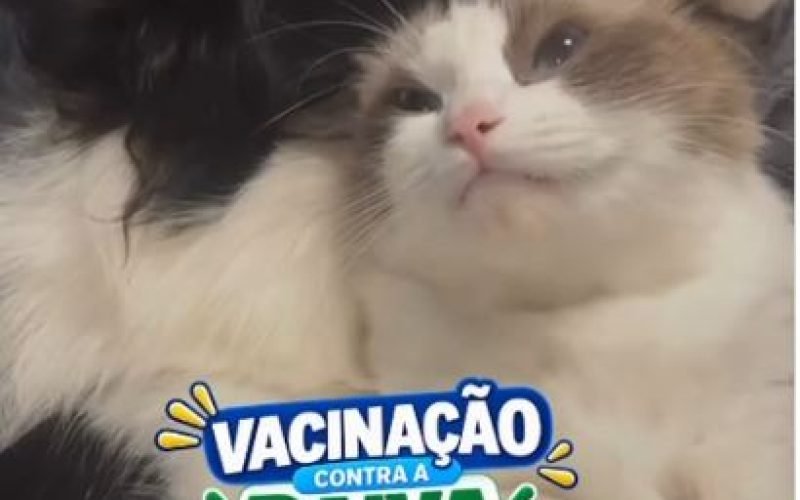 Cidades 1
