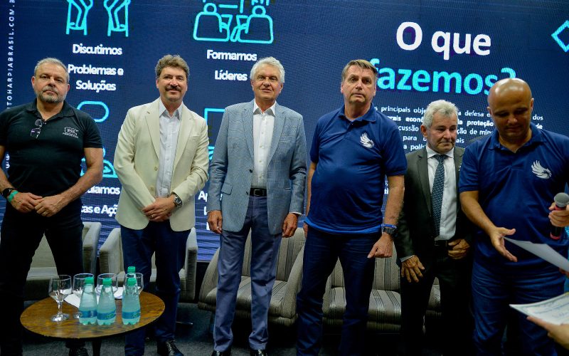 Estados Goiás 02