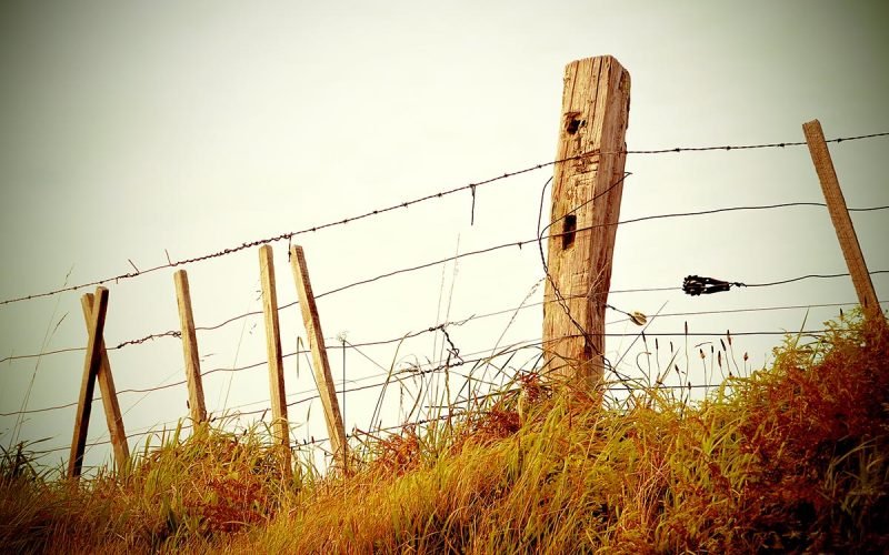 Fence-Filtered