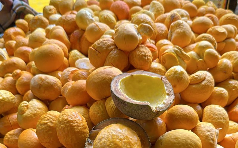 Goiás