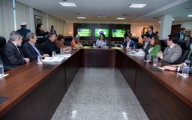 Goiás 13