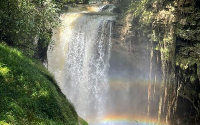 Goiás