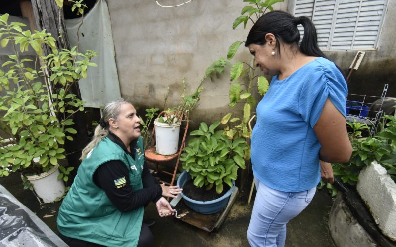 Goiás