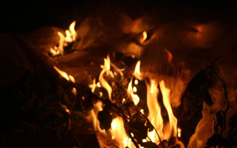 The,Fire,Burned,Horribly.,Nature,On,Fire,,Night,Photo,Shot.