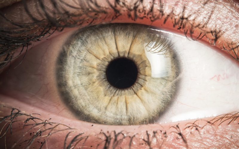 Human,Eye,Detail