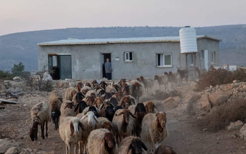 Jews are seen during at the Tzur Levavi Farm in the West Bank, August 16, 2026. Photo by Chaim Goldberg/Flash90 *** Local Caption *** חוות צור לבבי
יהודים
חווה
חופשת הקיץ
יהודה ושומרון
מתנחלים