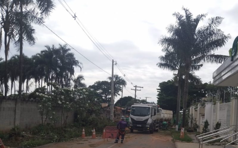 Temporal_Alerta_01
