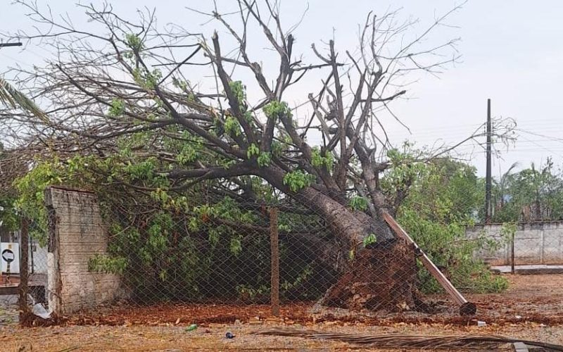 WhatsApp Image 2025-09-25 at 09.36.53