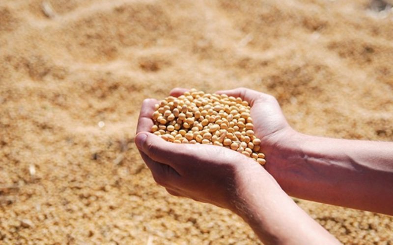 agricultura-scaled