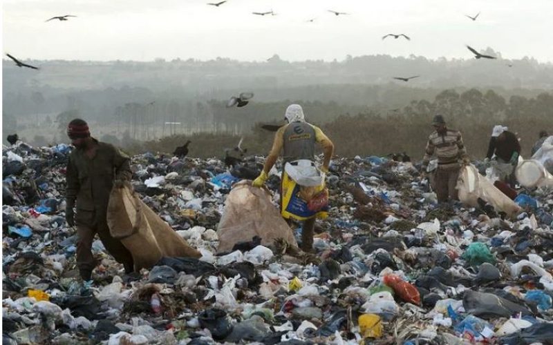 brasil 3