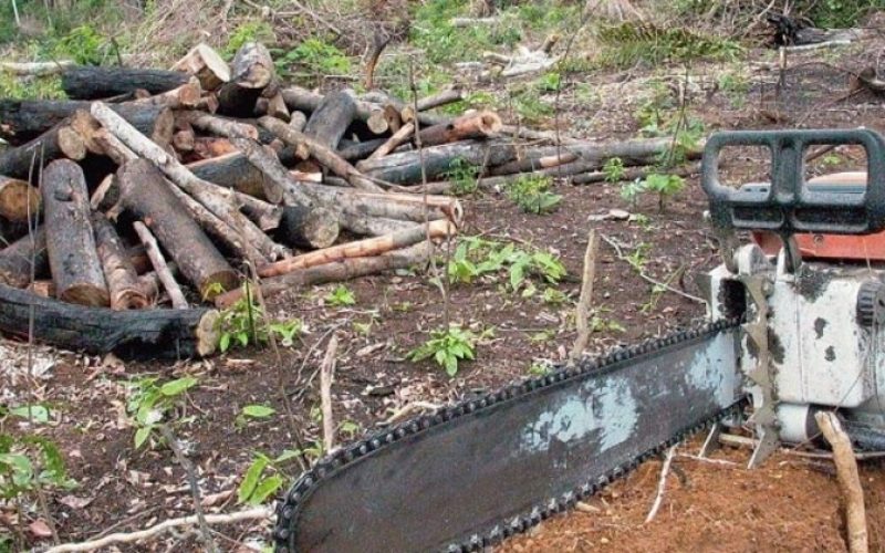 desmatamento-ag-brasil-09072020085456960