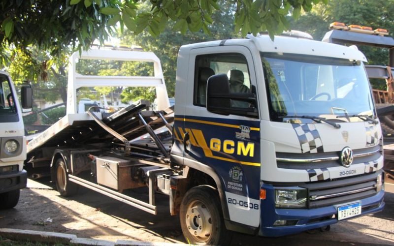 estados Goiás detran