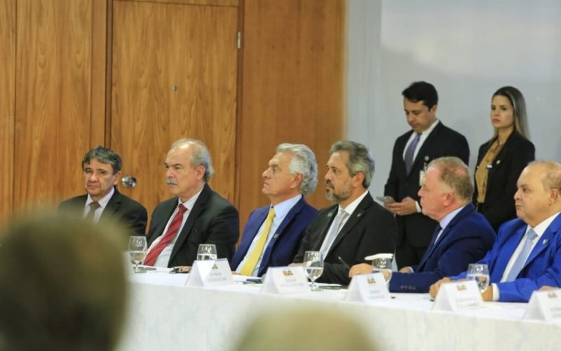 estados Goiás saneago
