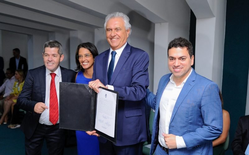 estados goiás 01