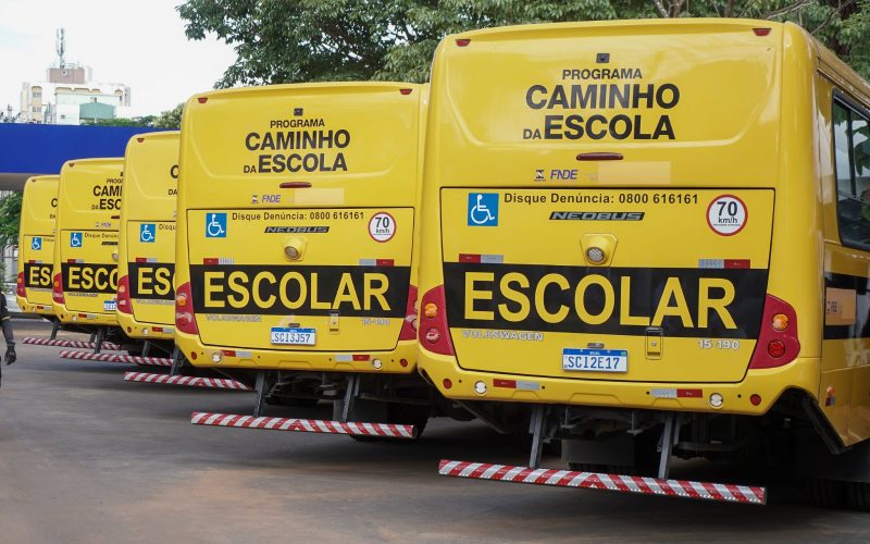 estados goiás 03