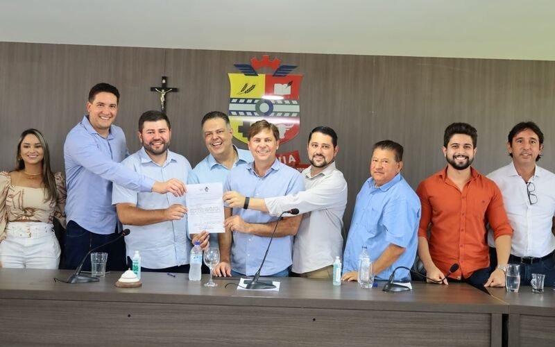 estados goiás alego 01