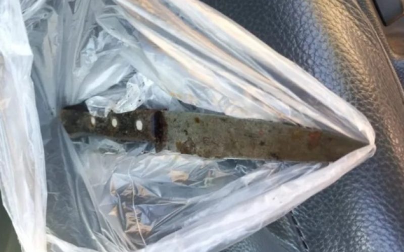 estados goiás polícia 01