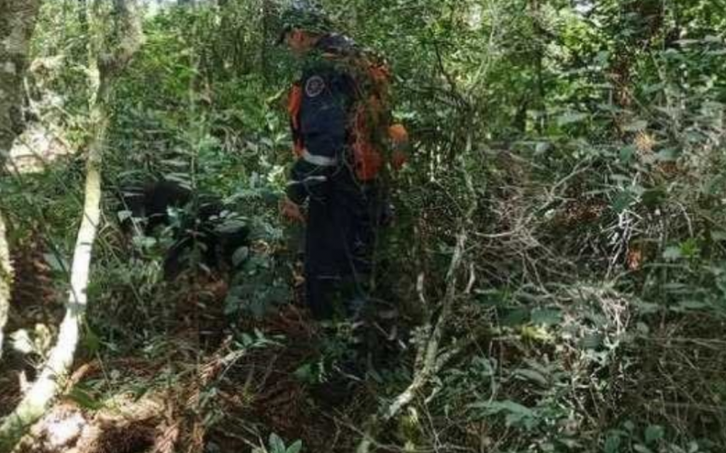 imagem_2021-02-13_093756