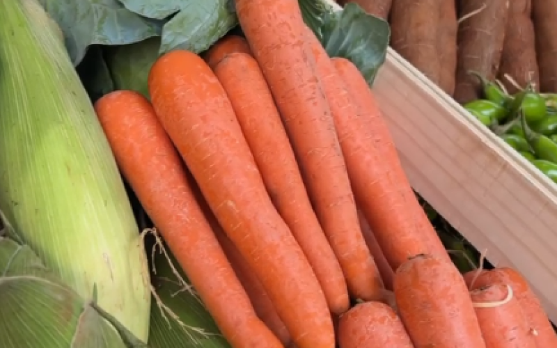 imagem_2025-09-30_141417693