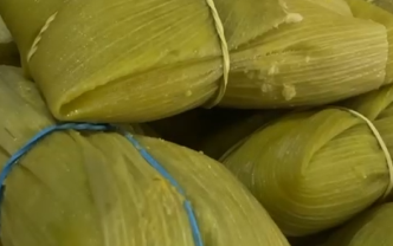 imagem_2026-02-26_092949704