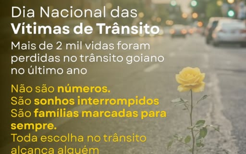 imagem_2026-05-08_231005223