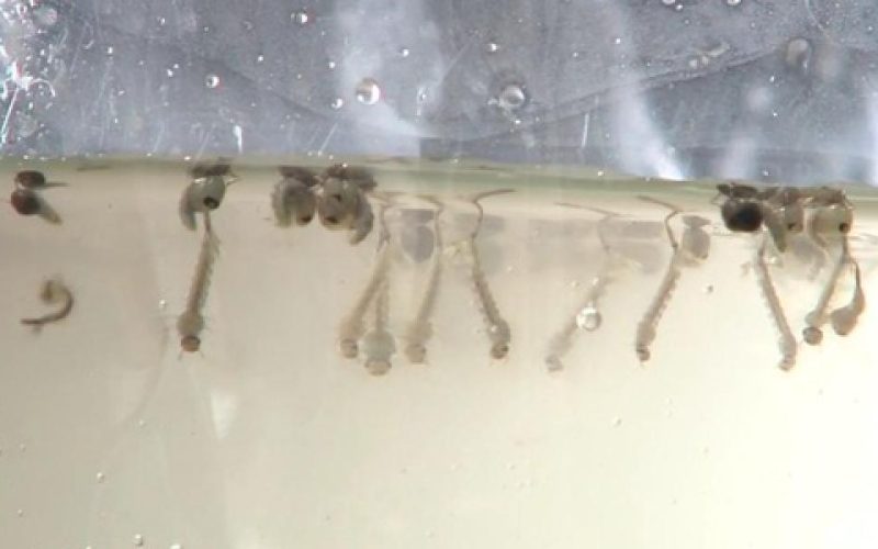 noticias_b5e3da56765fa2784c11d1bafbe2ffaf