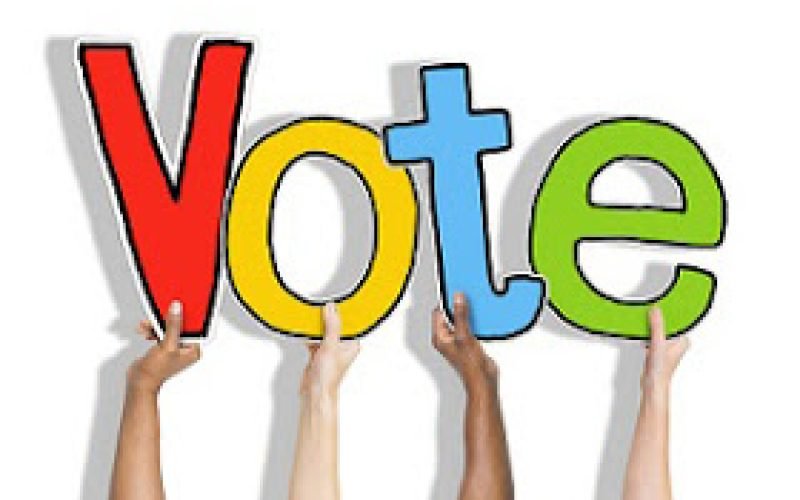 vote-hands-Hamilton Silva